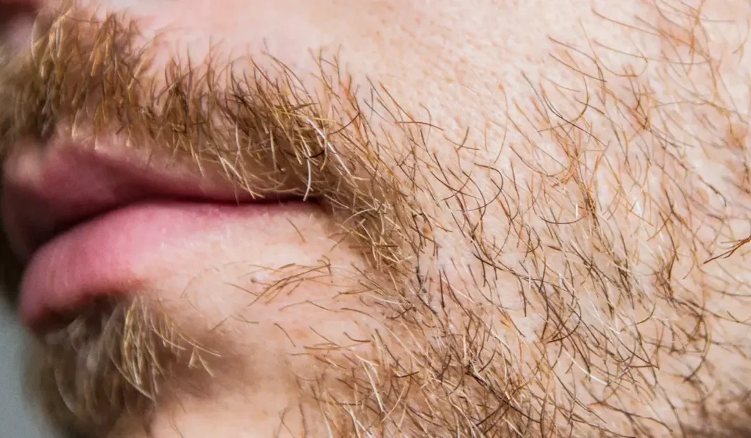densifier barbe moustache