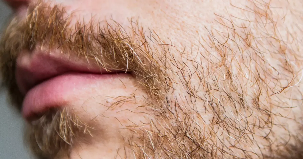 densifier barbe moustache